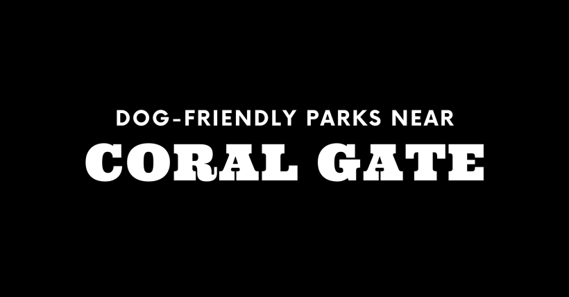 Dog-Friendly Parks Near Coral Gate